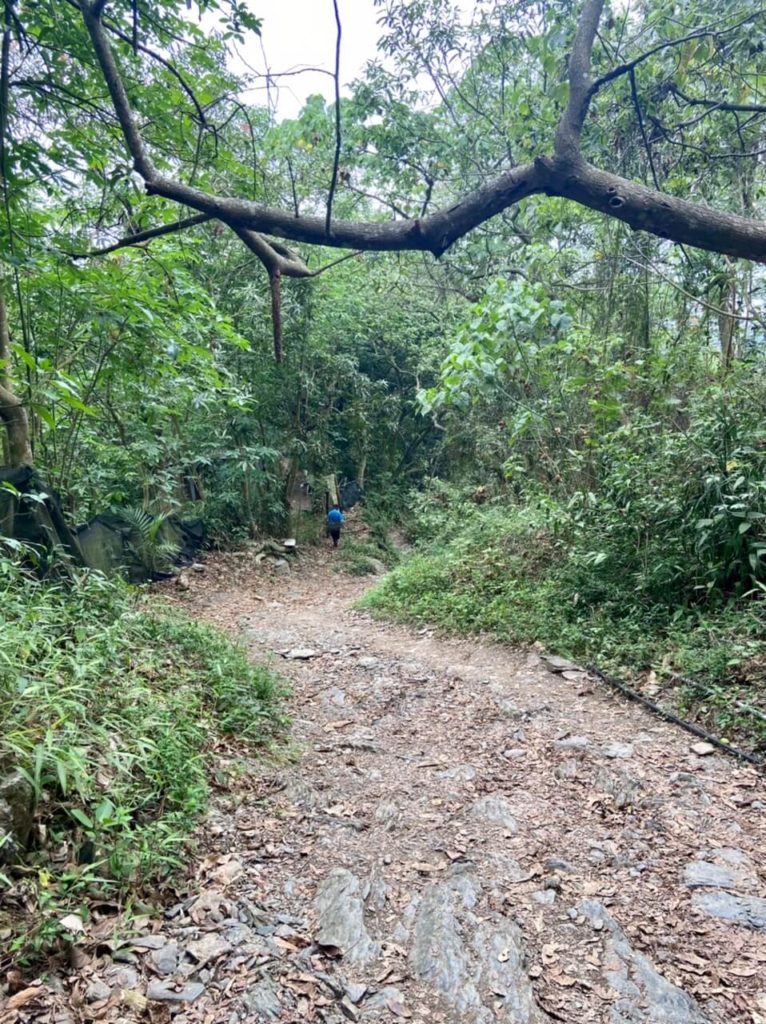 笠頂山步道