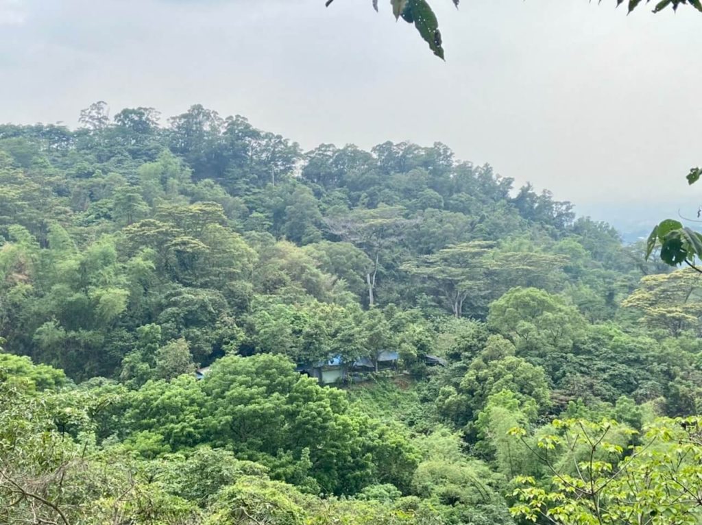 笠頂山登山步道