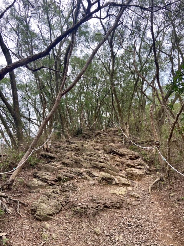 笠頂山登山步道