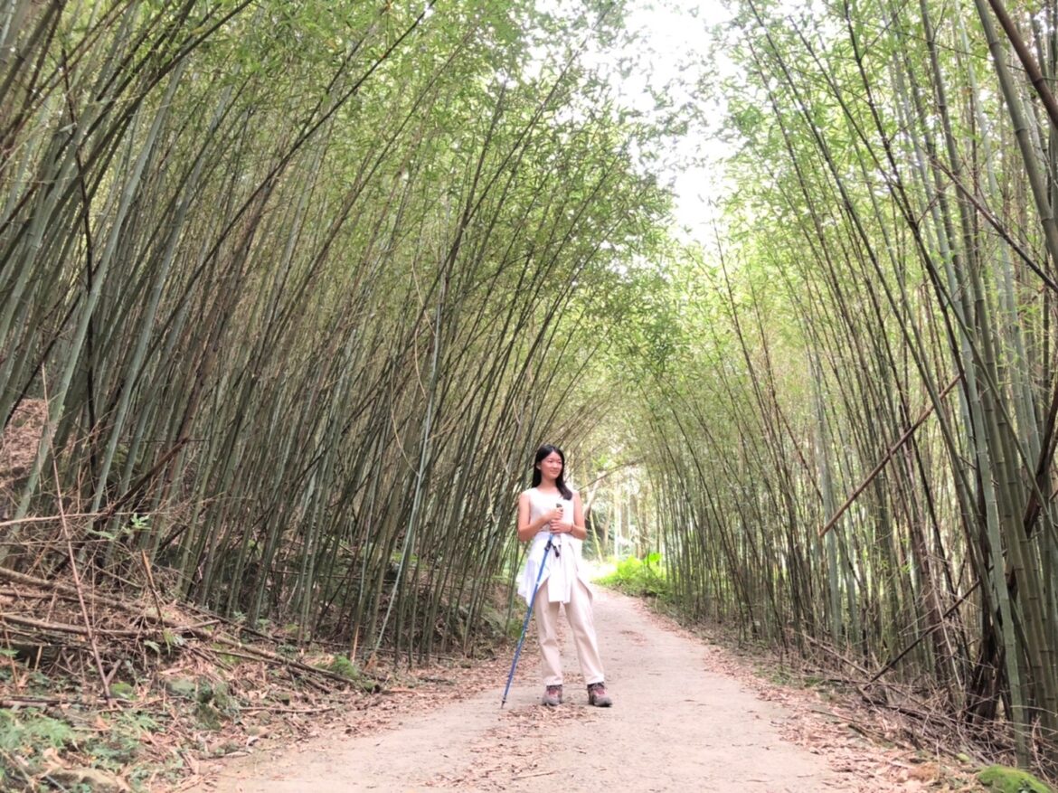 台南關子嶺大凍山登山步道